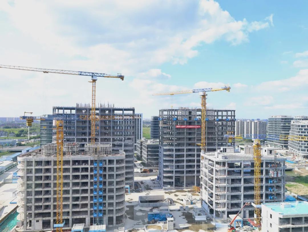 同心同向 造炬成阳 | 豪门国际2024年第三季度动态速览 同心同向 造炬成阳 | 豪门国际2024年第三季度动态速览